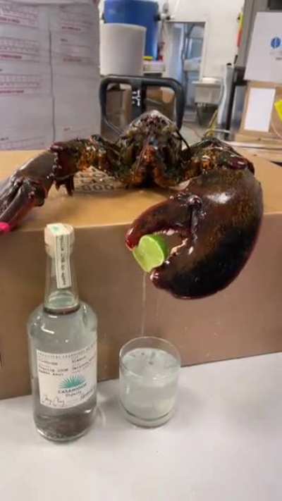 Larry the tipsy bartender