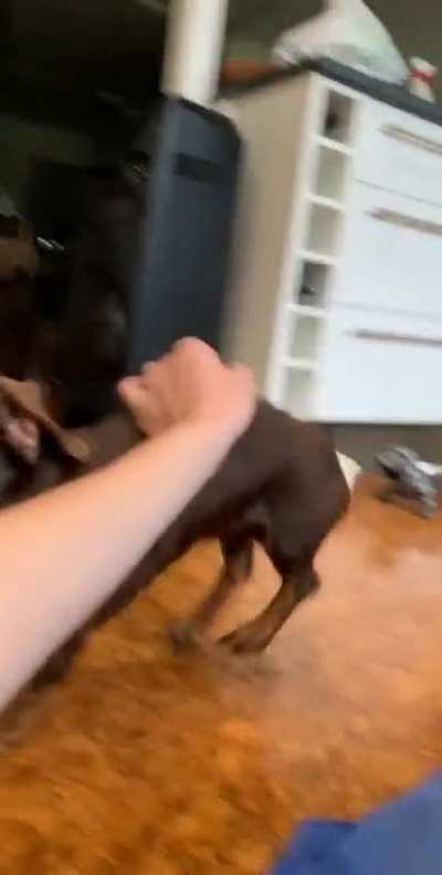Big boy incoming