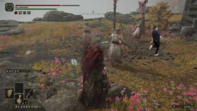 Epic Elden Move