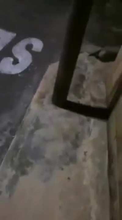 Meat on the street