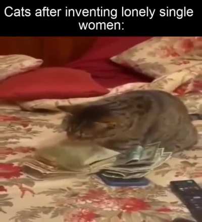 Hustler gonna hustle