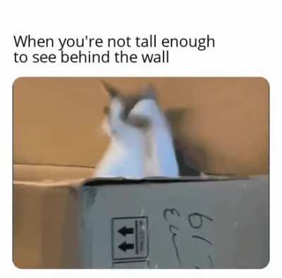 me_irl