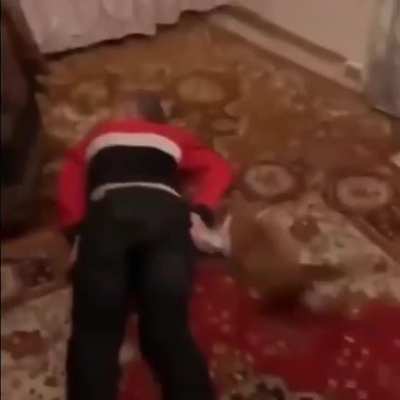 Cat saves his owner