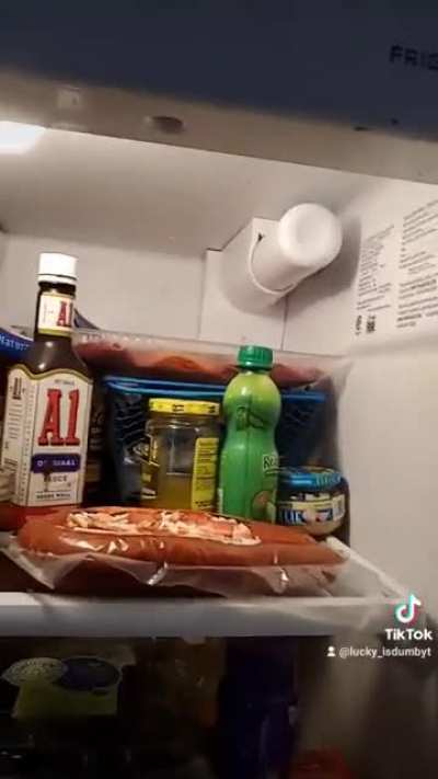 I don't know why but my little brother likes to put Beyblades in the refrigerator