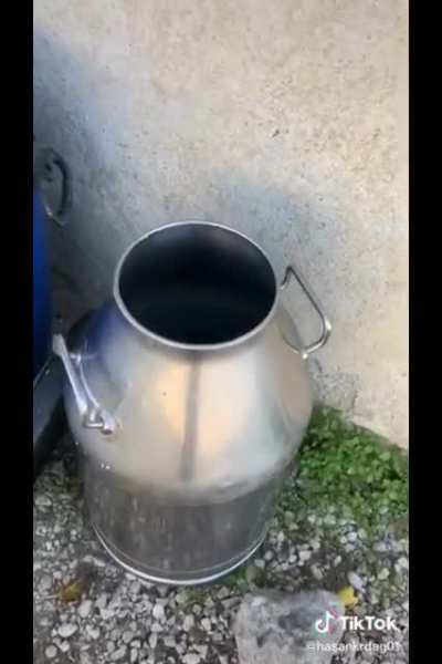 Found this on tik tok