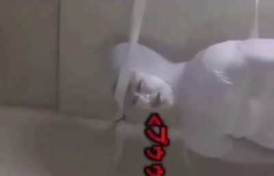 Japanese TV is the best