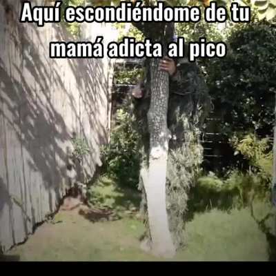 adicta a la tula