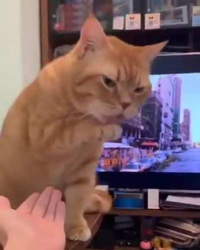 the ultimate disrespect