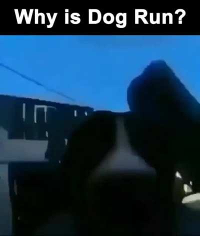 y? me gusta