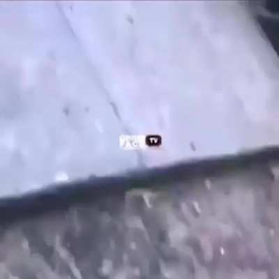 Should of just fought him