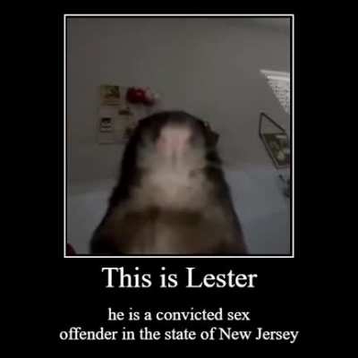 hi lester 👋