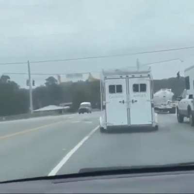 Caution Horses !
