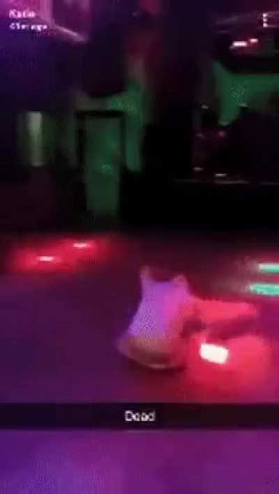 No people in this GIF were seriously injured I promise