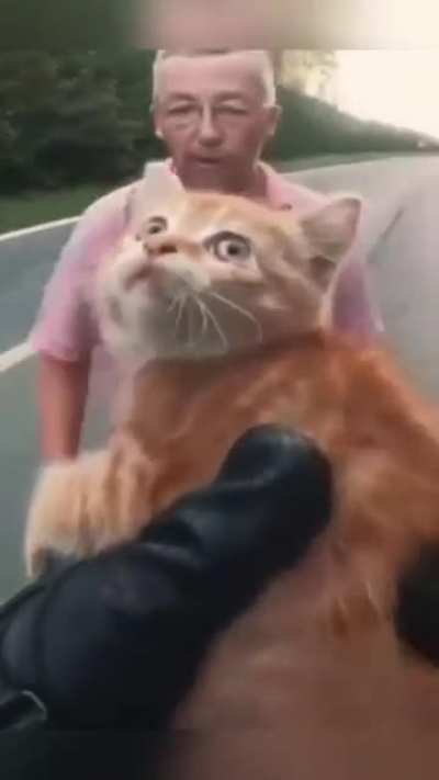 Frien