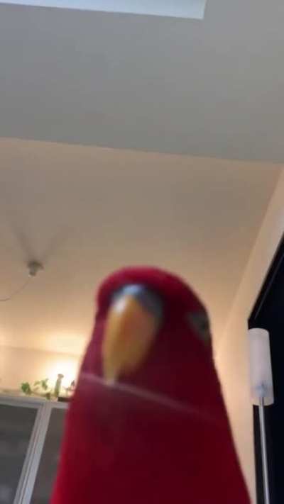 ***