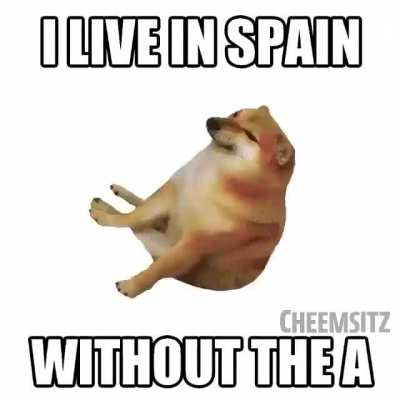 Spin
