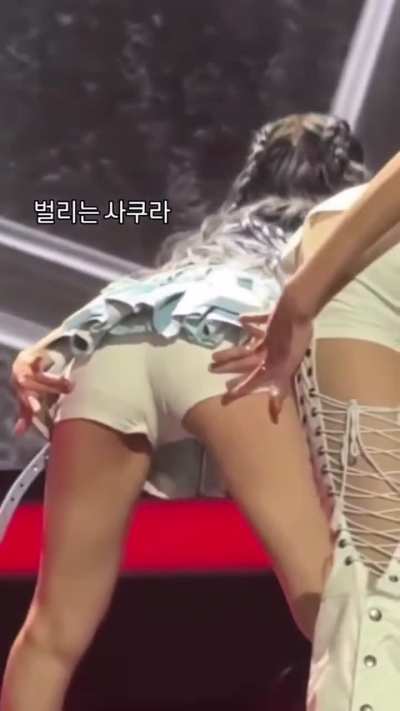 Sakura