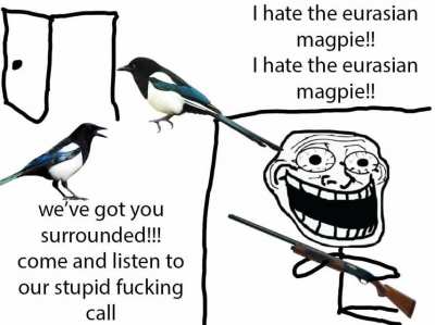 rule