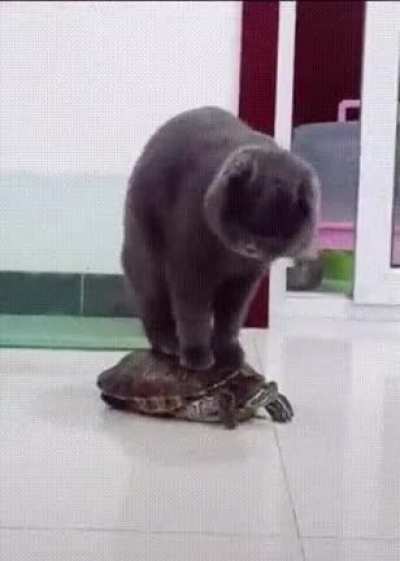 No don't do that