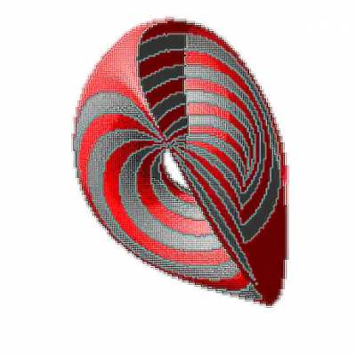 A Torus Eating Itself