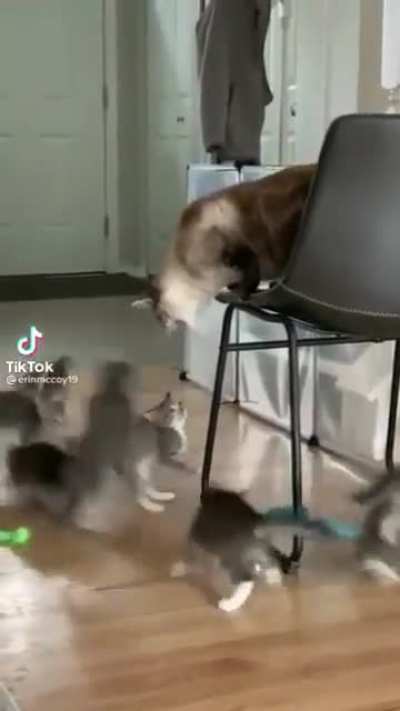 Подой<wbr>дите ближе...