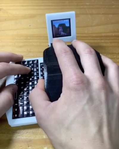 Minecraft on a Computer Mouse