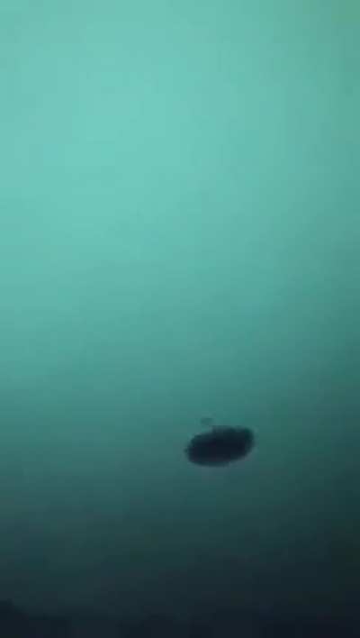 Gloryhole Gone Wrong