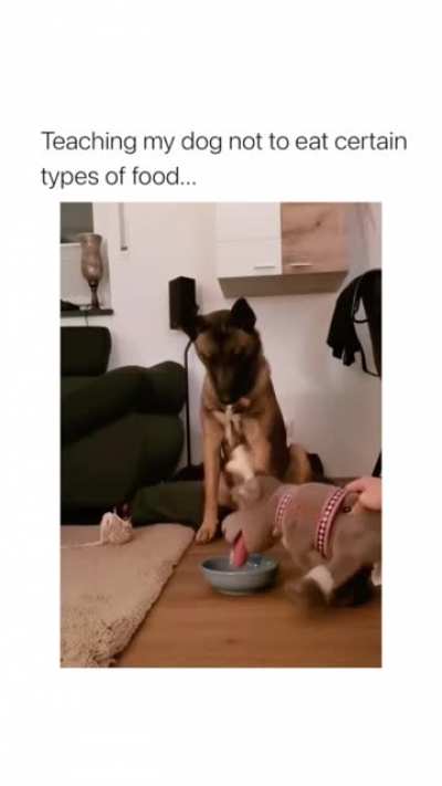 Better to woof inside then outside I guess