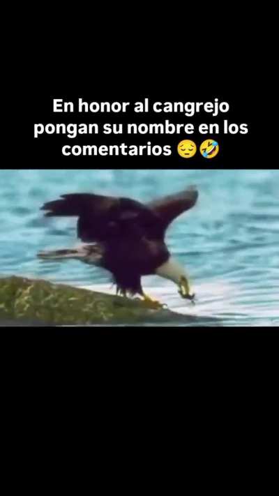 😂🤣😆