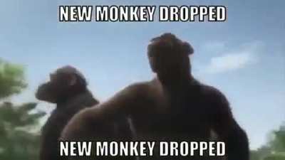 A new challenger appears
