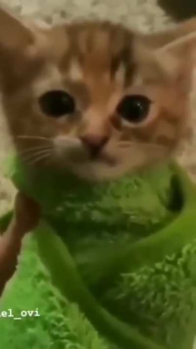 Hehe