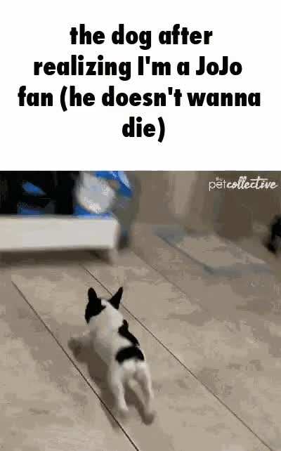 Poor dogs
