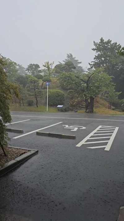 Yokosuka storm