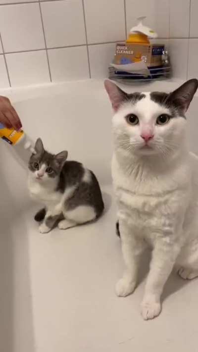 cleaning time
