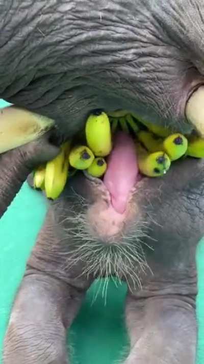 Snack time