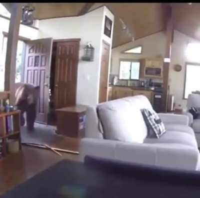 Is anybody home?