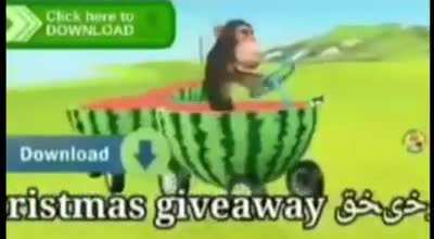 Melon monke