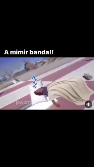 a mimir