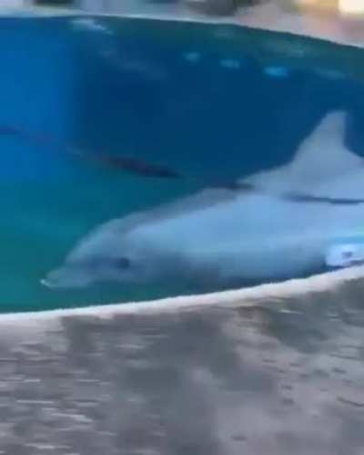 Making new friends