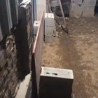 Unleash the ducks