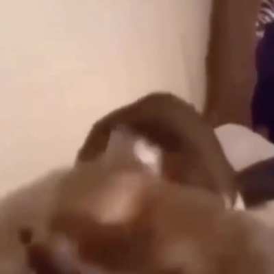 Ñom Ñom
