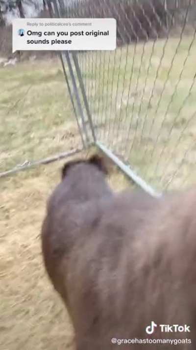 👁👅👁