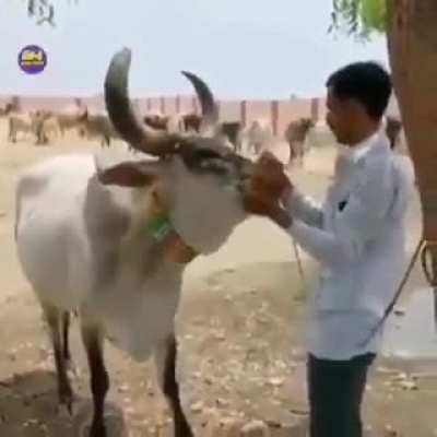 Awwww