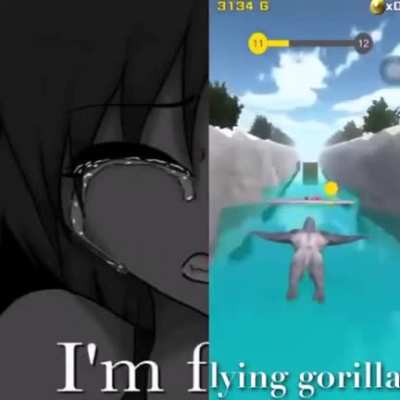gor