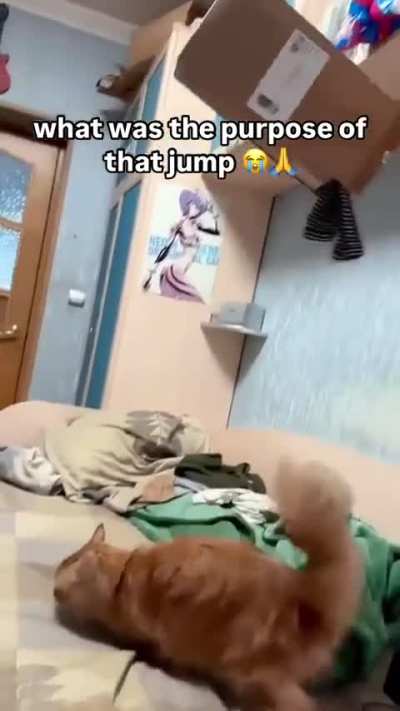 gravity