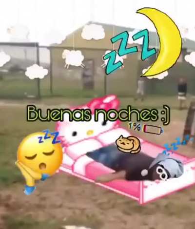 Siesta
