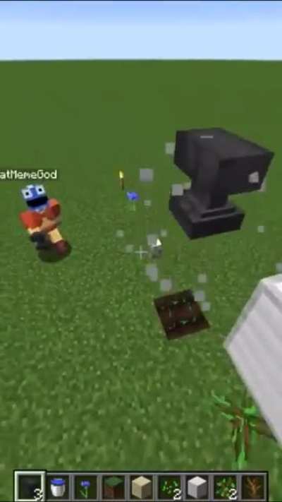 Minecraft why?