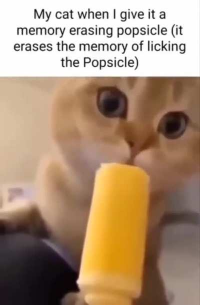 moldy popsicle