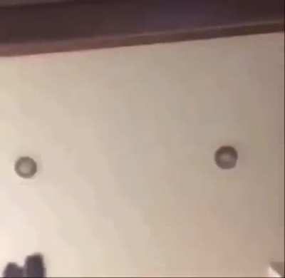 I’m mad 😡 Bruce stream rn pizza box nose ass nigga