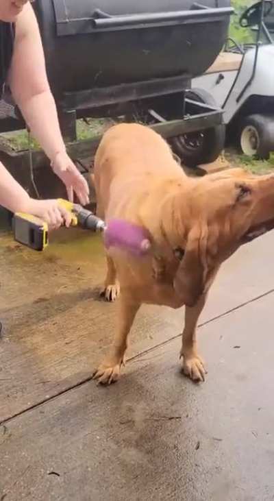 cleaning ...